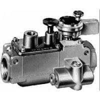 H43BA-2C H43BA-2C Baso Gas Products from BASOGAS
